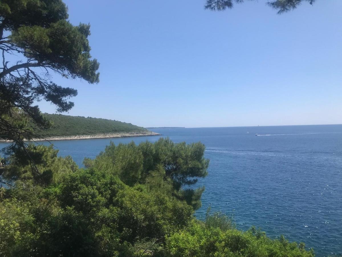 באניולה Villa Holiday מראה חיצוני תמונה